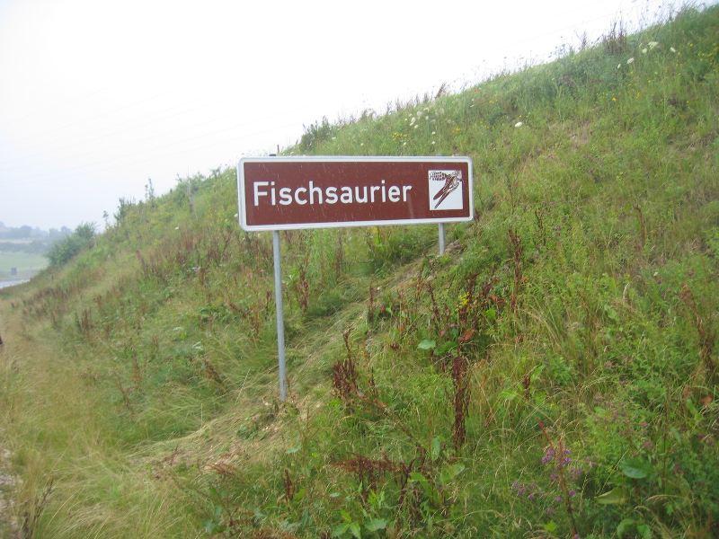 Eislingen