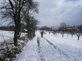 Eislingen