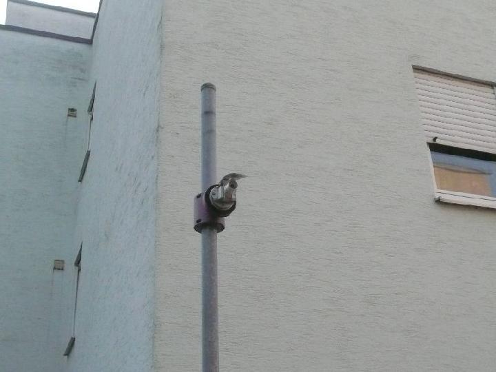 Eislingen