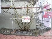 Eislingen