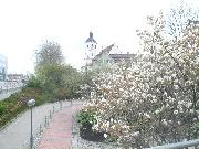 Eislingen
