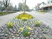 Eislingen