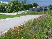 eislingen Eislingen