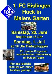 eislingen Eislingen