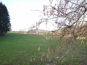 Eislingen