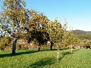 eislingen Eislingen
