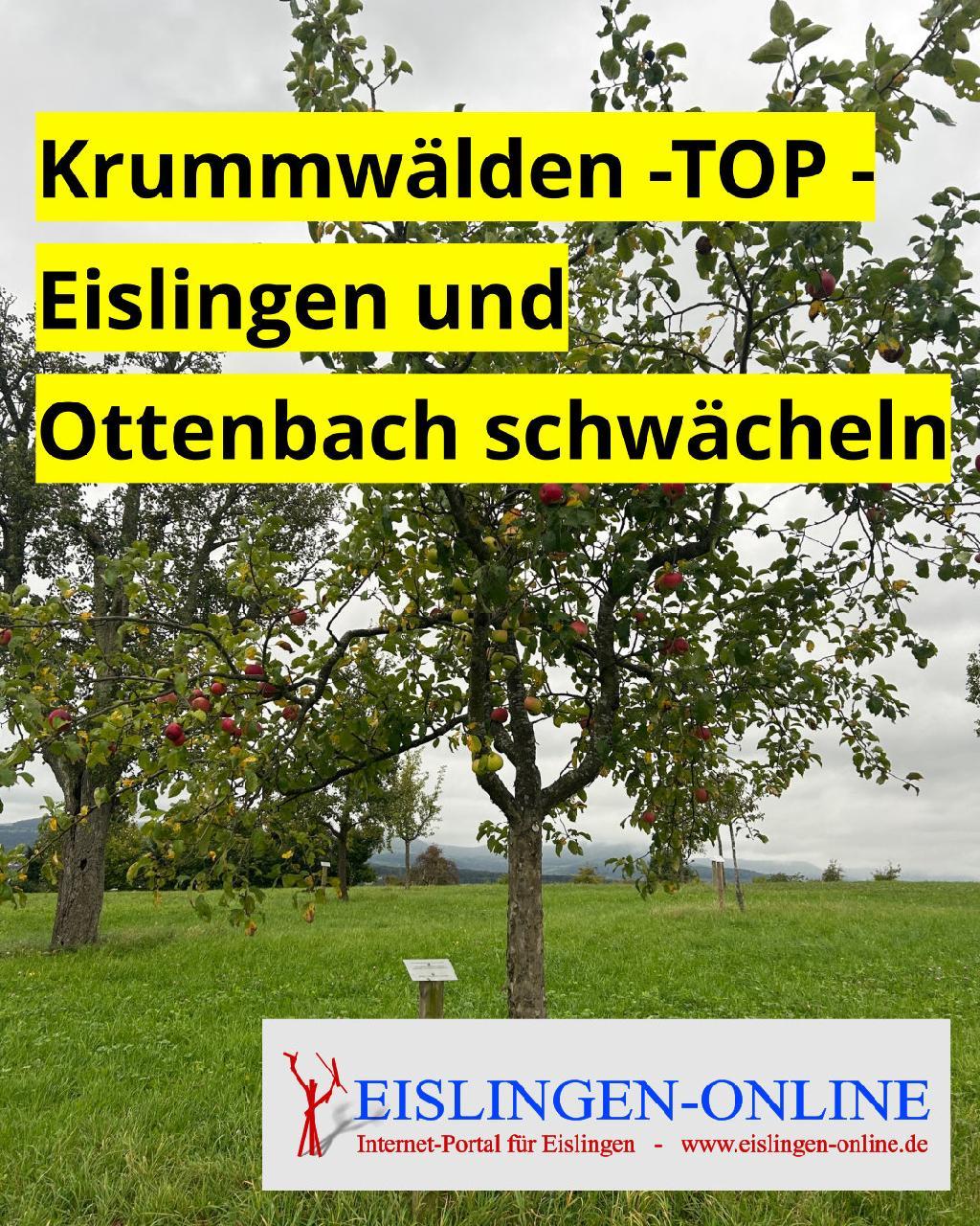 Eislingen