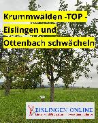 Eislingen