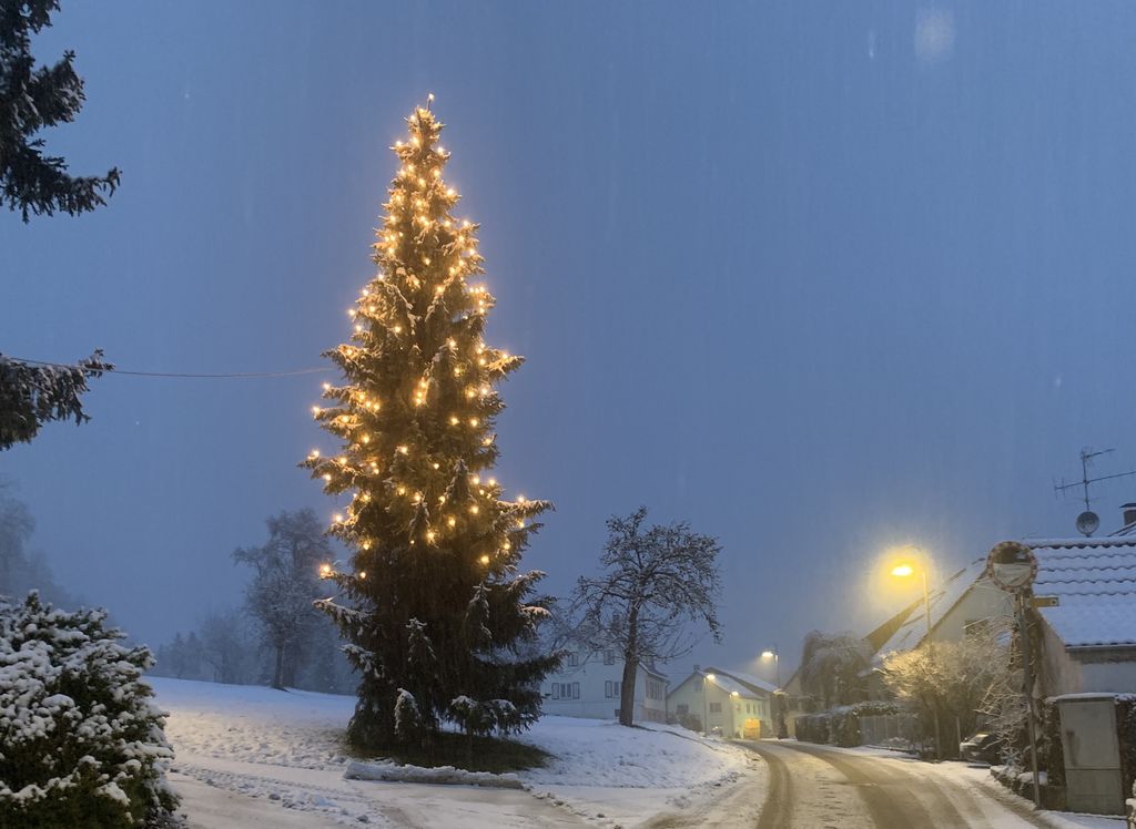 plakate/eschenbaeche.jpg/