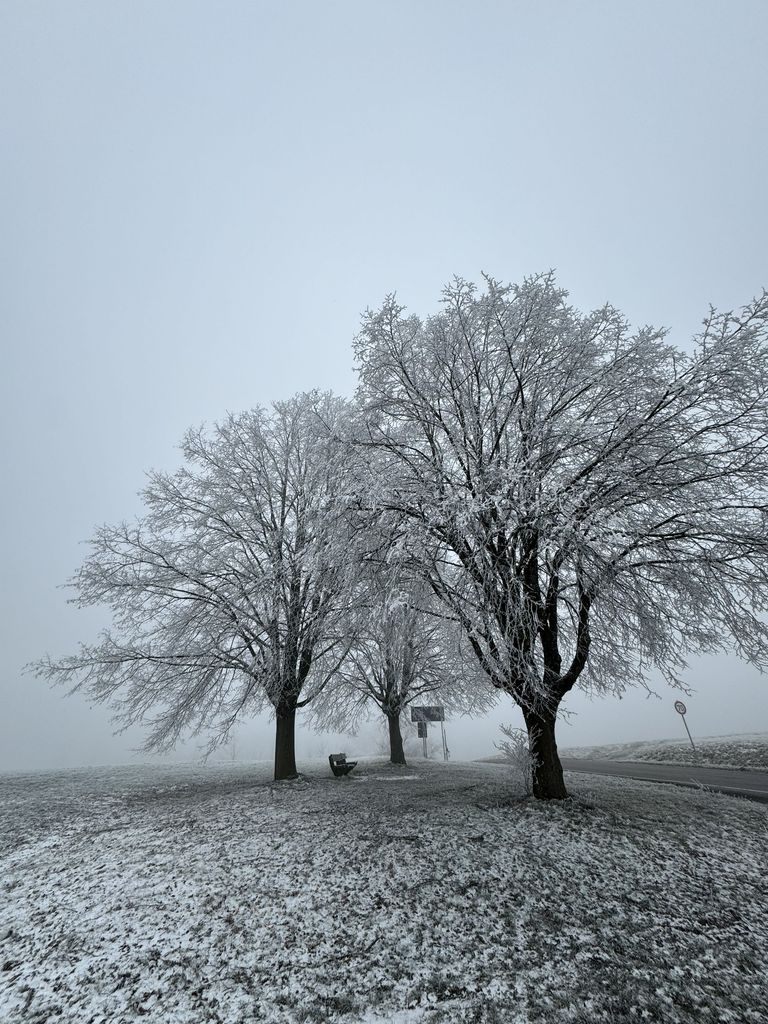 plakate/rauhreif.jpg/