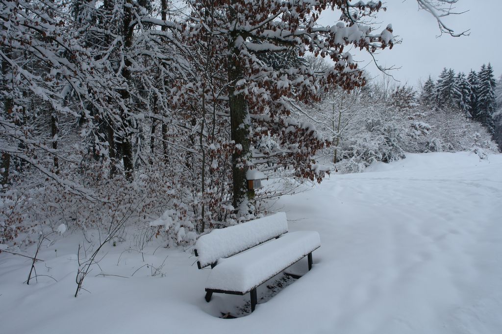 plakate/stempelstelle.jpg/